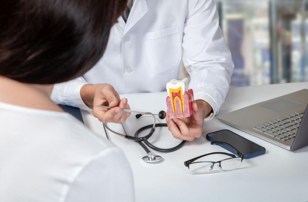 A dentist is holding a model tooth and explaining how a root canal is being done to a female patient.